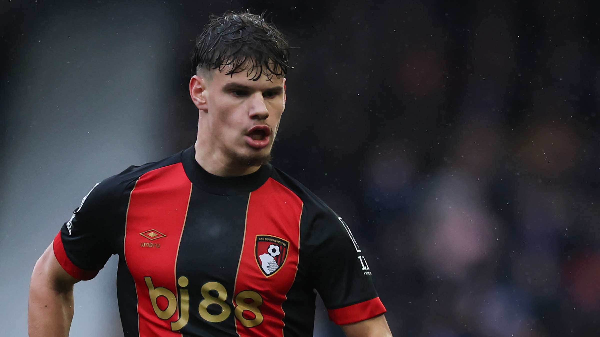 拥有强大的 拥有强大的