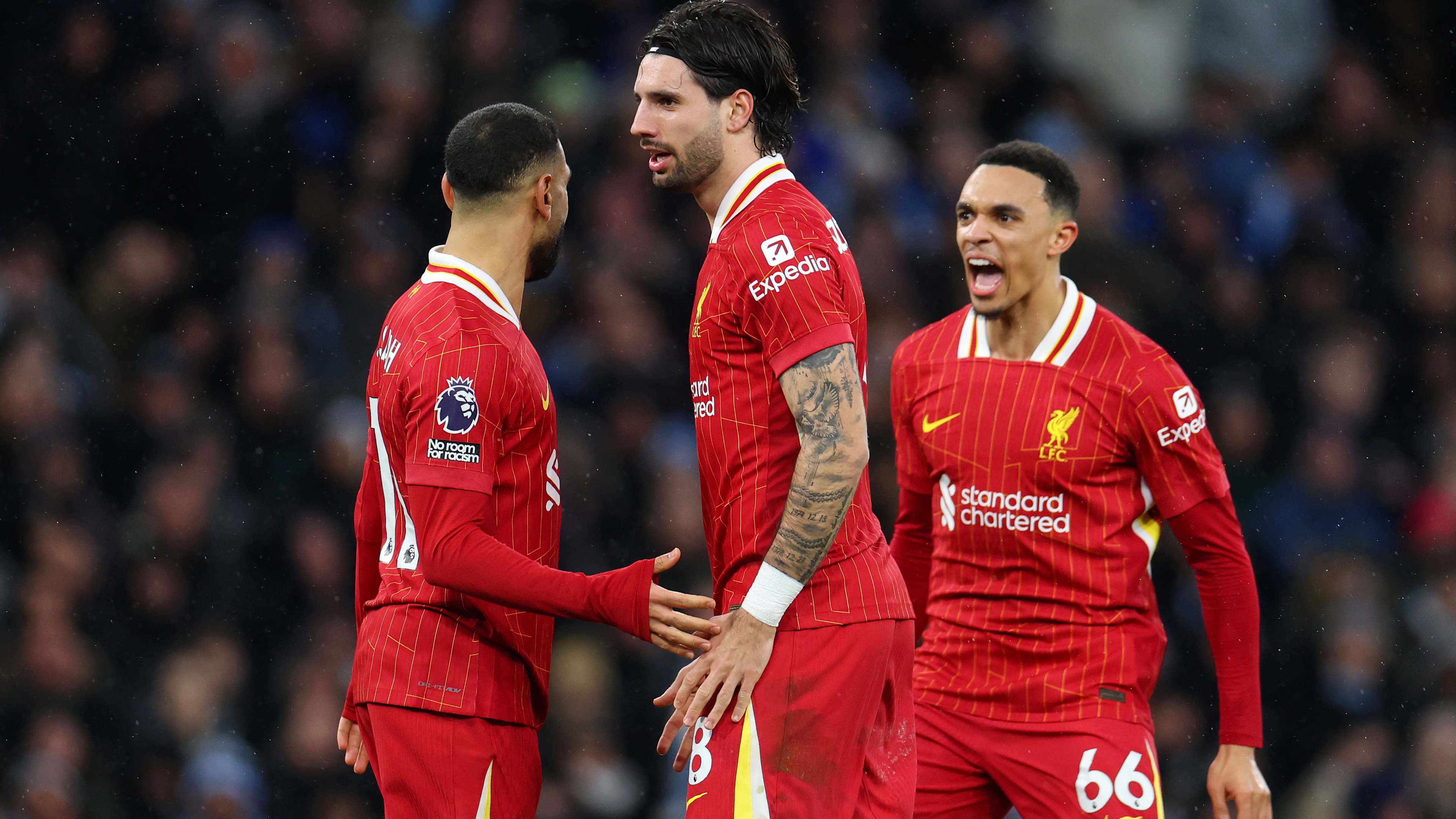 粉丝群体 粉丝群体