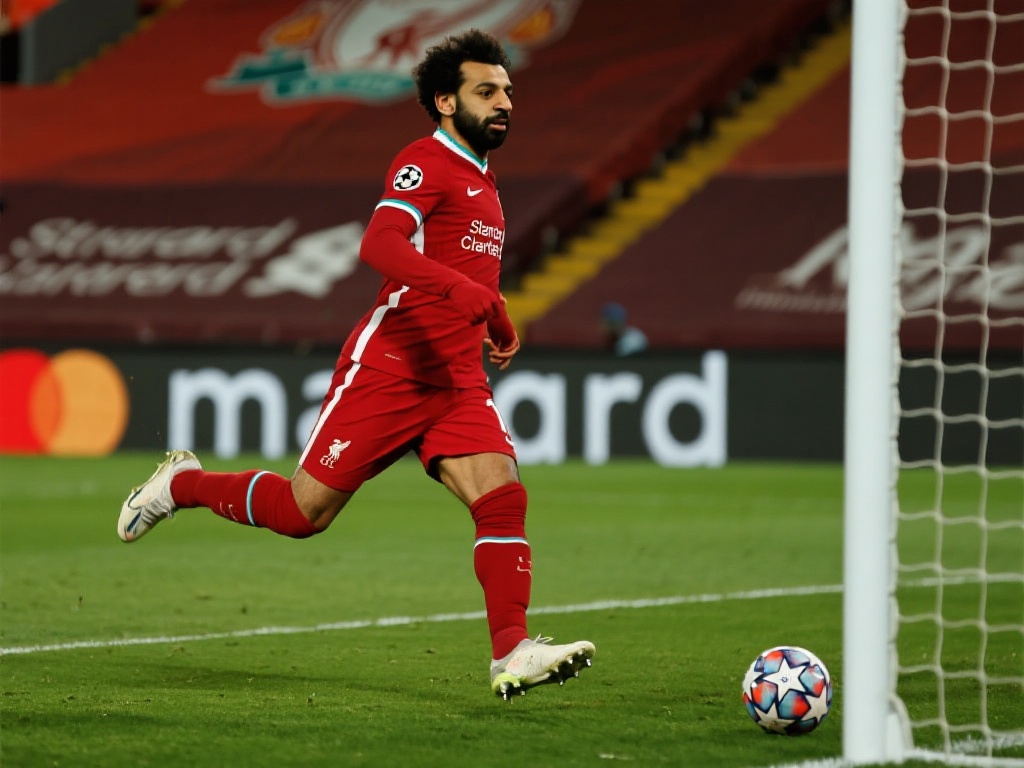 更是智慧的 更是智慧的